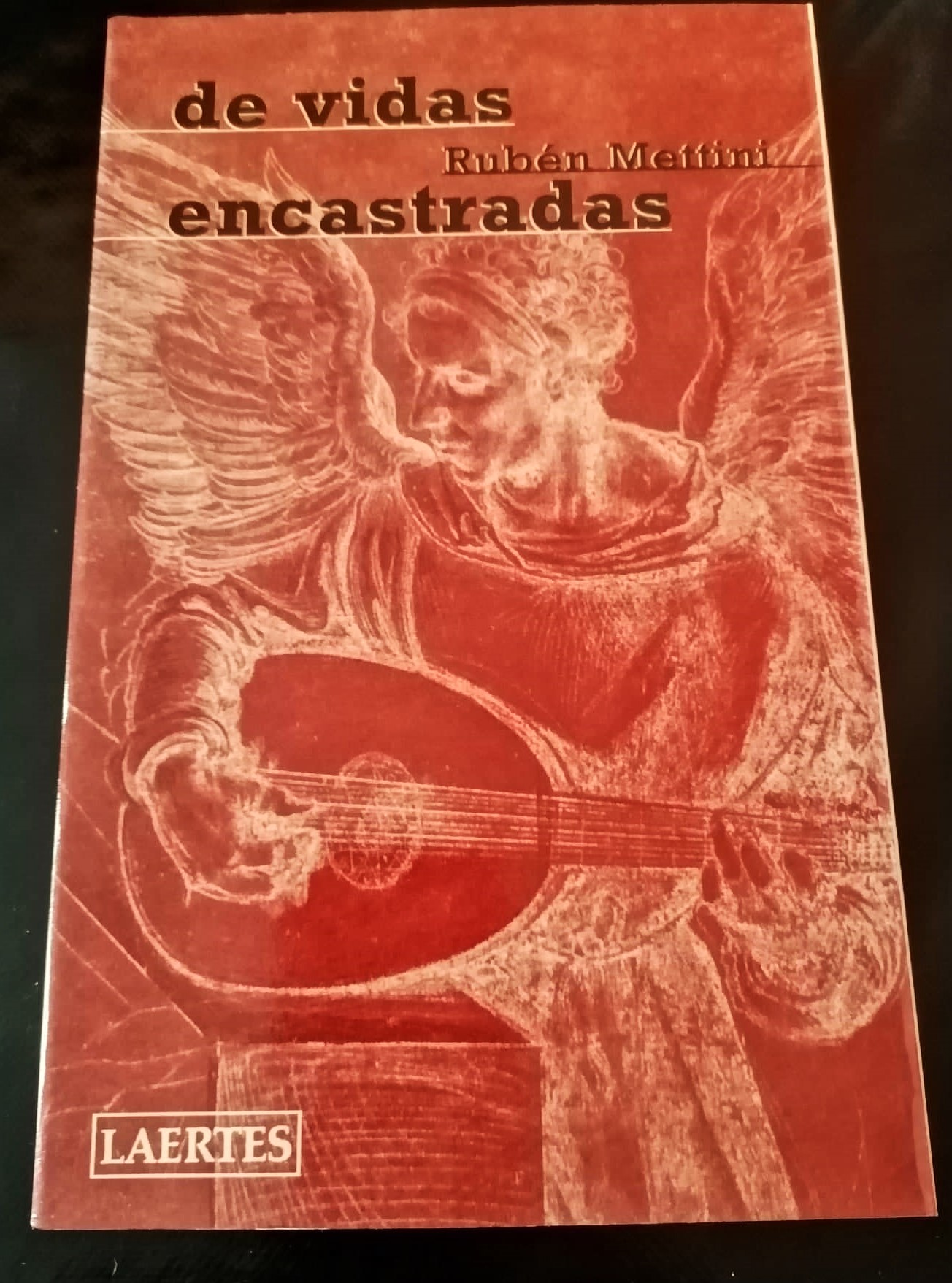 De-vidas-encastradas