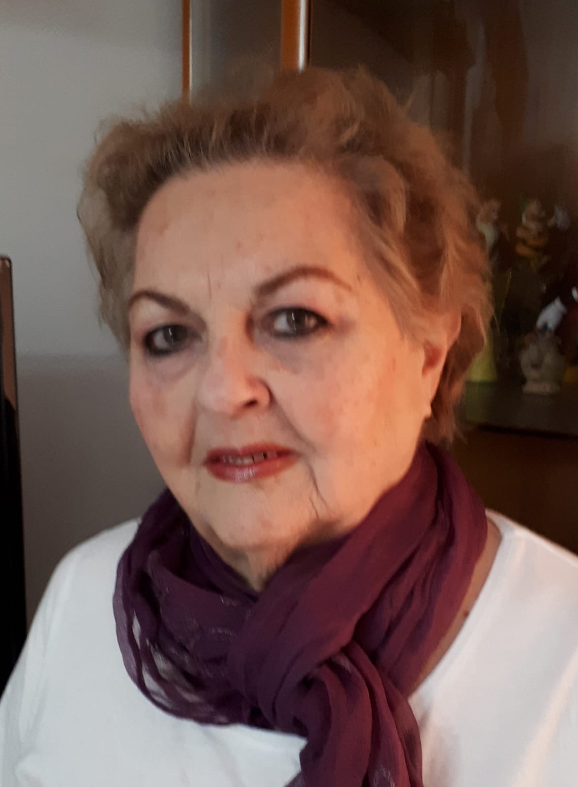 Angelina- Campagna