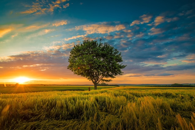 naturaleza